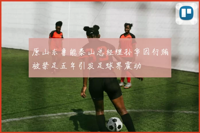 原山东鲁能泰山总经理孙华因行贿被禁足五年引发足球界震动