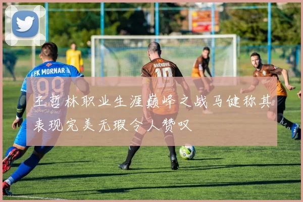 王哲林职业生涯巅峰之战马健称其表现完美无瑕令人赞叹